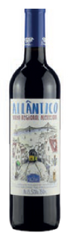 Atlântico Tinto / Branco / Rosé